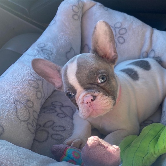 🌺A little about Us🌺 - Picture 6 of 16